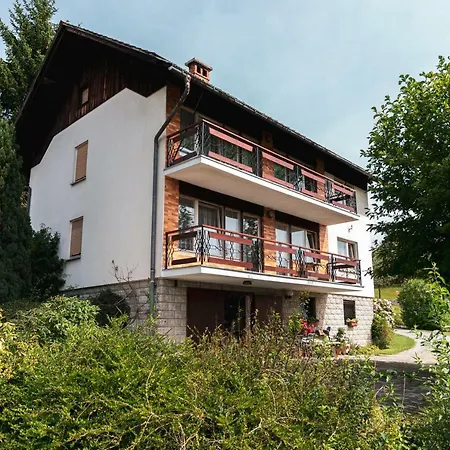 Apartmaji Retro Spodnje Gorje Exterior photo
