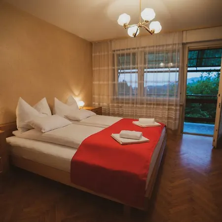 Apartmaji Retro Spodnje Gorje Exterior photo